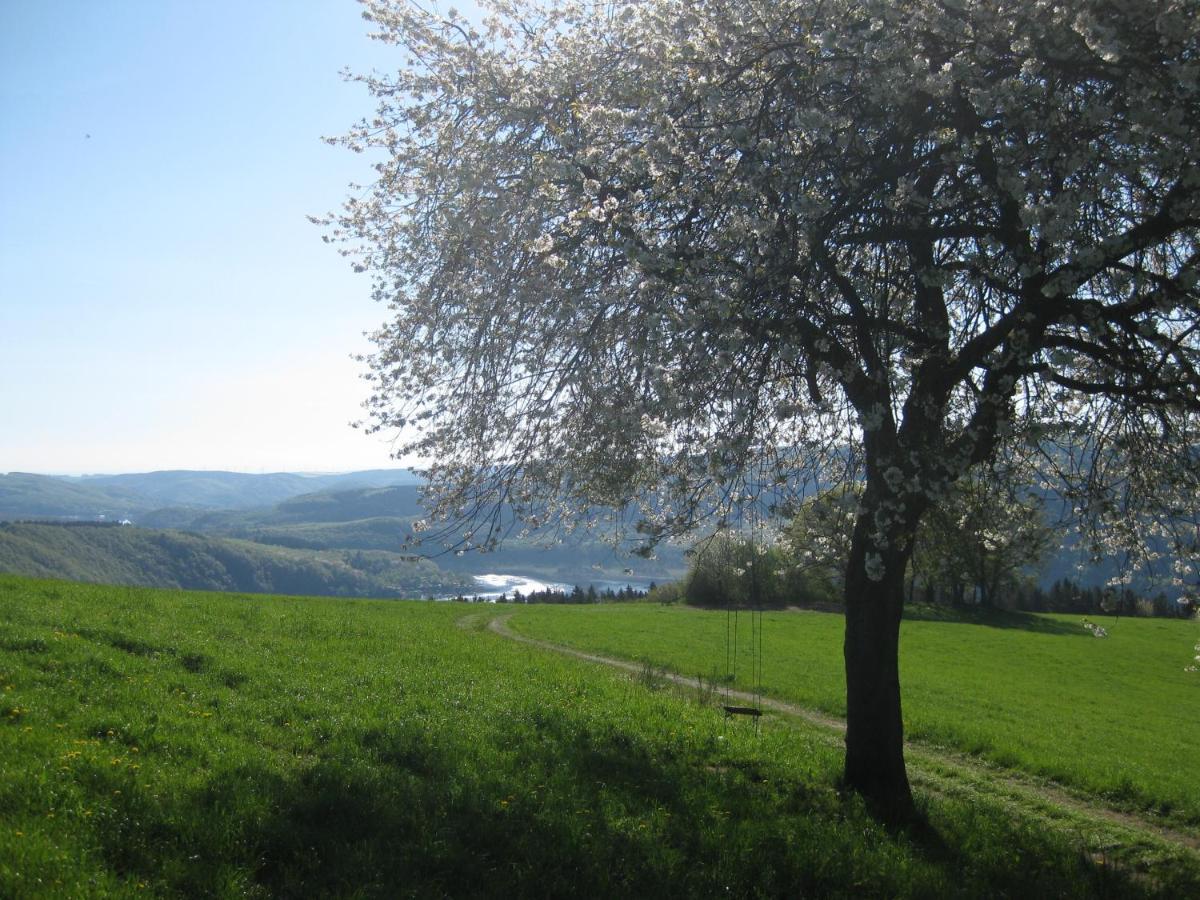 Garden & Hill Ferienwohnung Limburg Simmerath Eksteriør billede