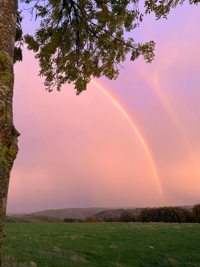 Garden & Hill Ferienwohnung Limburg Simmerath Eksteriør billede